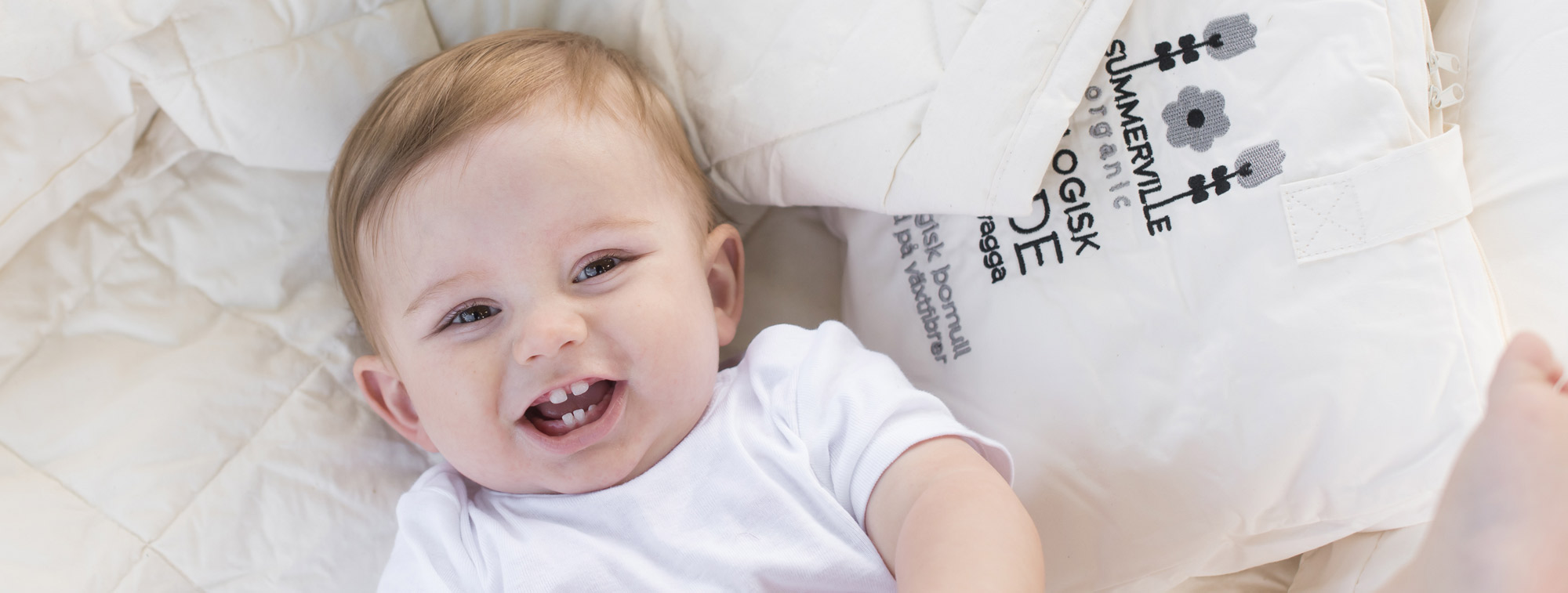 Summerville organic Brand Page Banner